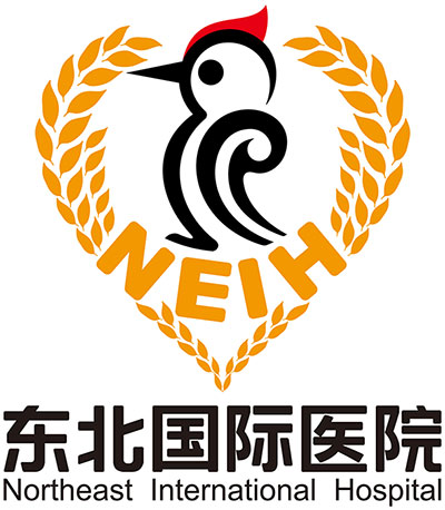 东北国际医院Logo 东北国际医院Logo
